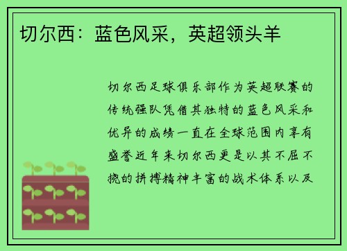 切尔西：蓝色风采，英超领头羊